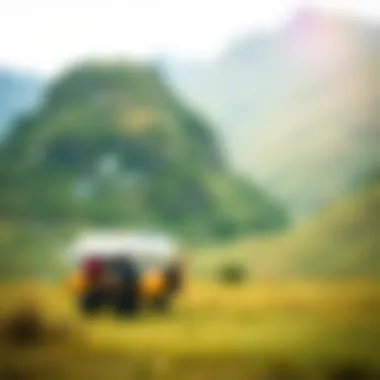 Magnificent Innovative Team Building Trip Ideas for Enhanced Collaboration
