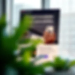 Email newsletter design showcasing engaging elements