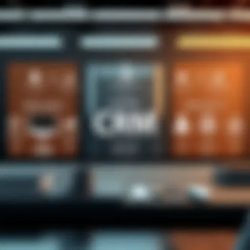 Diverse CRM Models Overview Visual representation of diverse CRM models