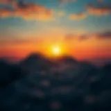 Symbolic representation of personal growth journey
